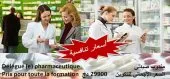 Le (la) délégué(e) pharmaceutique