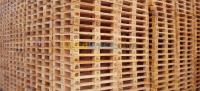 alger-birkhadem-algerie-industrie-fabrication-des-palettes-en-bois 