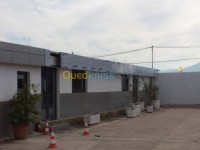 الجزائر-باب-الزوار-إشهار-و-اتصال-alicu-bonde