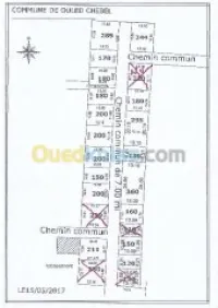 Vente Terrain Alger Birtouta