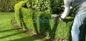   travaux de jardinage 
