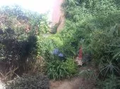 Vente Appartement Niveau de villa F4 Alger Bouzareah