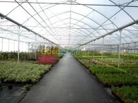 تيبازة-الجزائر-صناعة-و-تصنيع-agro-industrie