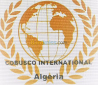 alger-draria-algerie-publicite-communication-conseils-affaires-et-services