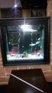 Aquarium 