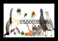 الجزائر-وسط-تنظيف-و-بستنة-désinsectisation