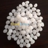 COLLE BOIS PLAQUEUSE DE CHANT 