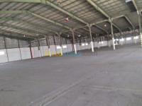 blida-beni-tamou-algerie-hangar-location