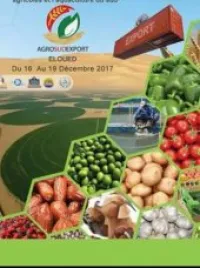 Export d'agroalimentaire chrch marchee