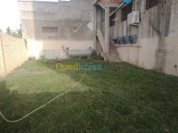 البليدة-شبلي-الجزائر-بستنة-gazon-arbres-pour-villas