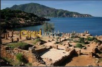 الجزائر-وسط-فعاليات-و-ترفيه-developpement-touristique