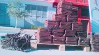 fer a bèton  rond    تشكيل حديد البناء