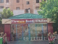 الجزائر-الرغاية-إشهار-و-اتصال-publicité
