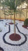 nettoyage-jardinage-suivi-et-amenagement-de-jardin-birkhadem-alger-algerie