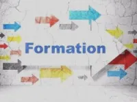 formation diplômée 