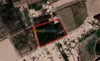 Vente Terrain Agricole Chlef Ouled fares