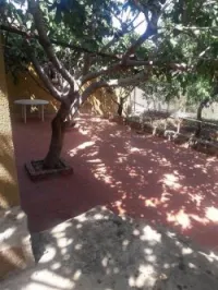 Location Niveau De Villa F3 Chlef Tenes