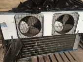 Froid