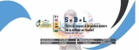 Informatique (word, excel et PowerPoint niveau 1&2) (formule week-end, accélérée ou cours du soir)
