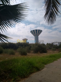 menuiserie-meubles-habillage-interieur-fourgon-dar-el-beida-alger-algerie