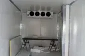 Congelation