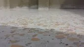 صقل و تلميع جميع انواع الارضيات