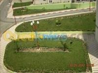 jardinage-amenagement-des-espaces-verts-boufarik-blida-algerie