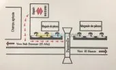 Grossiste pièces détachées SUZUKI
