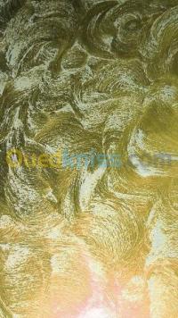 الجزائر-الرغاية-بناء-و-أشغال-pienture-décoration