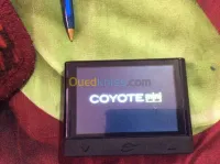 COYOTE MINI