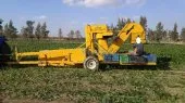Récolteuse haricot vert OXBO BH100 USA