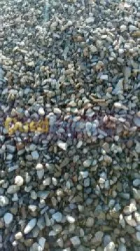 Transport marchandise 