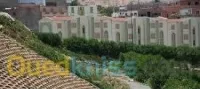 Vente Terrain Tlemcen Tlemcen