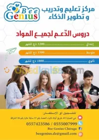Cours de soutien scolaire et langue 