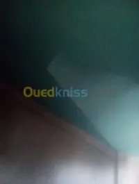 tout travaux de BA13 BA10 plafant pvc 