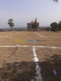 الجزائر-الدويرة-أرض-vente-terrain-alger-douera
