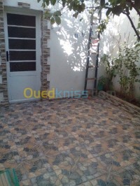الجزائر-وسط-بناء-و-أشغال-peintre