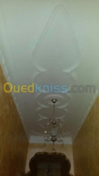 البليدة-العفرون-الجزائر-ديكورات-و-ترتيب-pltrie