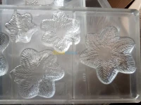 Moules chocolat polycarbonate neuf