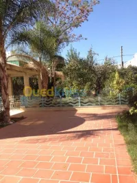 Vente Villa Alger Said hamdine