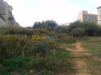 الجزائر-السحاولة-أرض-byaa-ard-aljzaer-alshaol