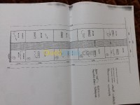 أرض-بيع-بسكرة-الجزائر