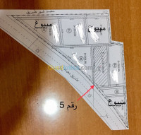 أرض-بيع-المدية-البرواقية-الجزائر