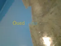  Epoxyfloor