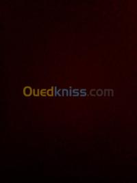 وهران-الجزائر-وسط-إشهار-و-اتصال-infographie