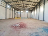 Location Hangar Tipaza Kolea