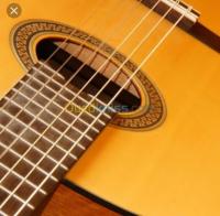 الجزائر-وسط-مدارس-و-تكوين-prof-guitare