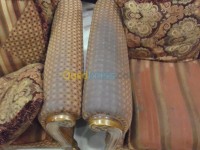الجزائر-براقي-تنظيف-و-بستنة-سريع-فى-ساعه-فقط