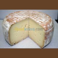 صناعة-و-إنتاج-formation-fromagere-تيزي-وزو-الجزائر