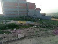 تلمسان-غزوات-الجزائر-أرض-byaa-ard-tlmsan-ghzoat
